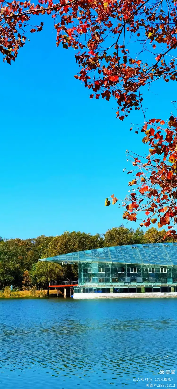 醉美的中山陵前湖秋景